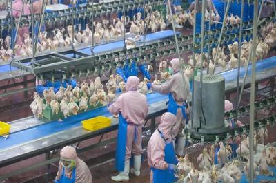 乳山預(yù)制菜企業(yè)實(shí)現(xiàn)年銷(xiāo)售額近10億元，飼料原料銷(xiāo)售雙輪驅(qū)動(dòng)