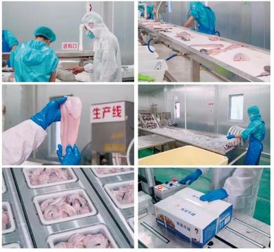 牛蛙飼料巨頭再啟新篇 年銷破10萬噸后，戰略布局原料銷售市場