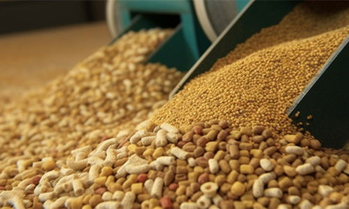 2024年豬飼料行業(yè)市場(chǎng)現(xiàn)狀、發(fā)展格局與原料銷(xiāo)售競(jìng)爭(zhēng)趨勢(shì)展望