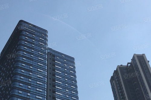 金地壹粵府綜合評析 優勢、不足與市場口碑